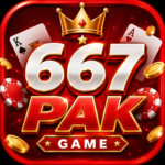 667PAK Game